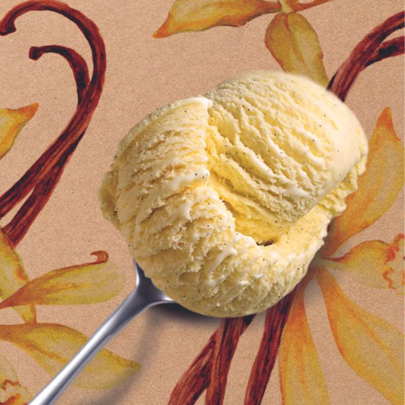 Crème glacée vanille bourbon de Madagascar