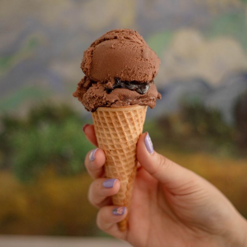 Vegan Chocolate Ice Cream