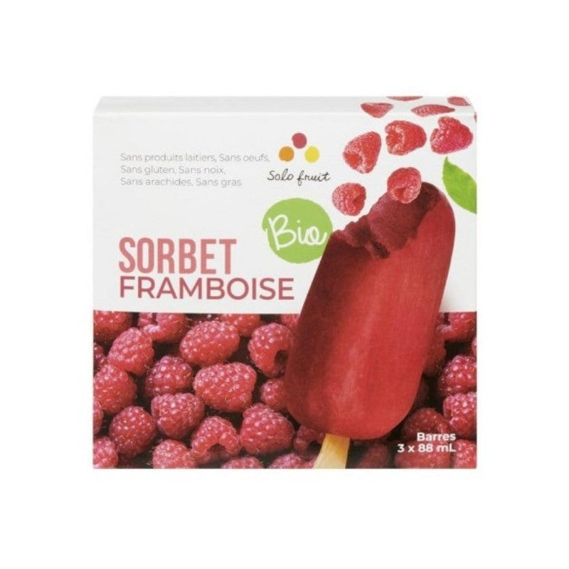 Organic Raspberry Sorbet Bars